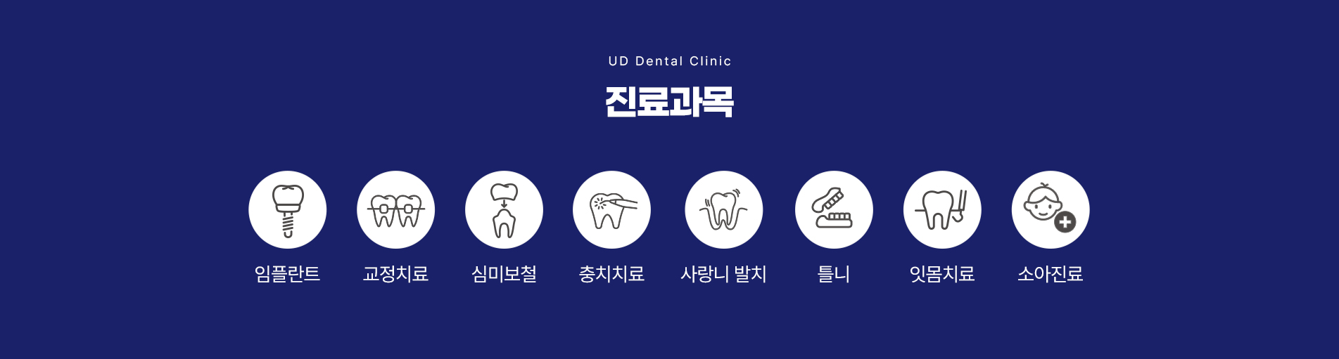 진료과목